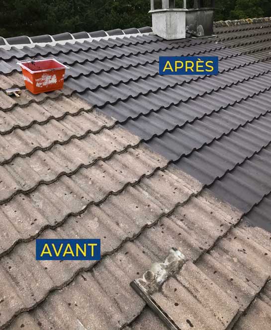 Nettoyage toiture - PROMAGERY COUVERTURE  : artisan couvreur dans le Maine-et-Loire (49). Nettoyage, démoussage traitement anti-mousse toiture. peinture hydrofuge toit : PROMAGERY COUVERTURE intervient dans les meilleurs délais dans le Maine-et-Loire (49) ainsi qu’aux alentours, à 50 km, dans La Sarthe ( 72), La Mayenne (53), l’Ille-et-Vilaine (35) et la Loire Atlantique (44). Promagery Couverture. Nous sommes à votre écoute pour tous vos projets de nettoyage, démoussage traitement anti-mousse toiture. peinture hydrofuge toit 